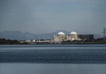 Madrid se une a la lucha por prolongar la vida de las nucleares