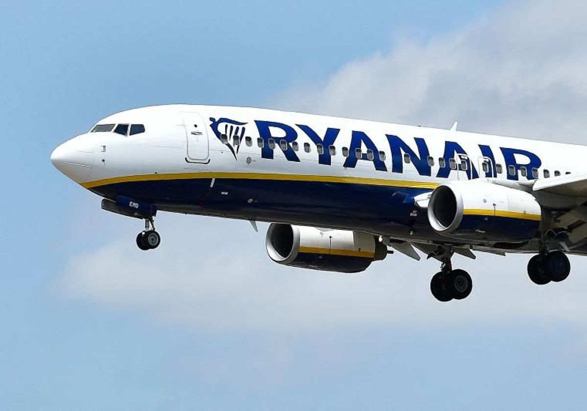 Ryanair, el bagajı ücretinin yasal olduğunu iddia ediyor ve Hükümeti “siyasi nedenlerle” hareket etmekle suçluyor