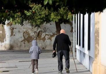 La OCDE aboga por elevar la edad de jubilación y recortar gastos de las pensiones