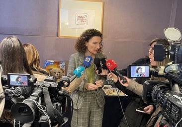 La patronal juguetera pone el foco en Temu o Shein: «El 80% de los juguetes de los marketplaces no son seguros»