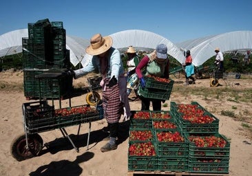 El campo esquiva la reforma laboral y podrá recurrir a los contratos temporales