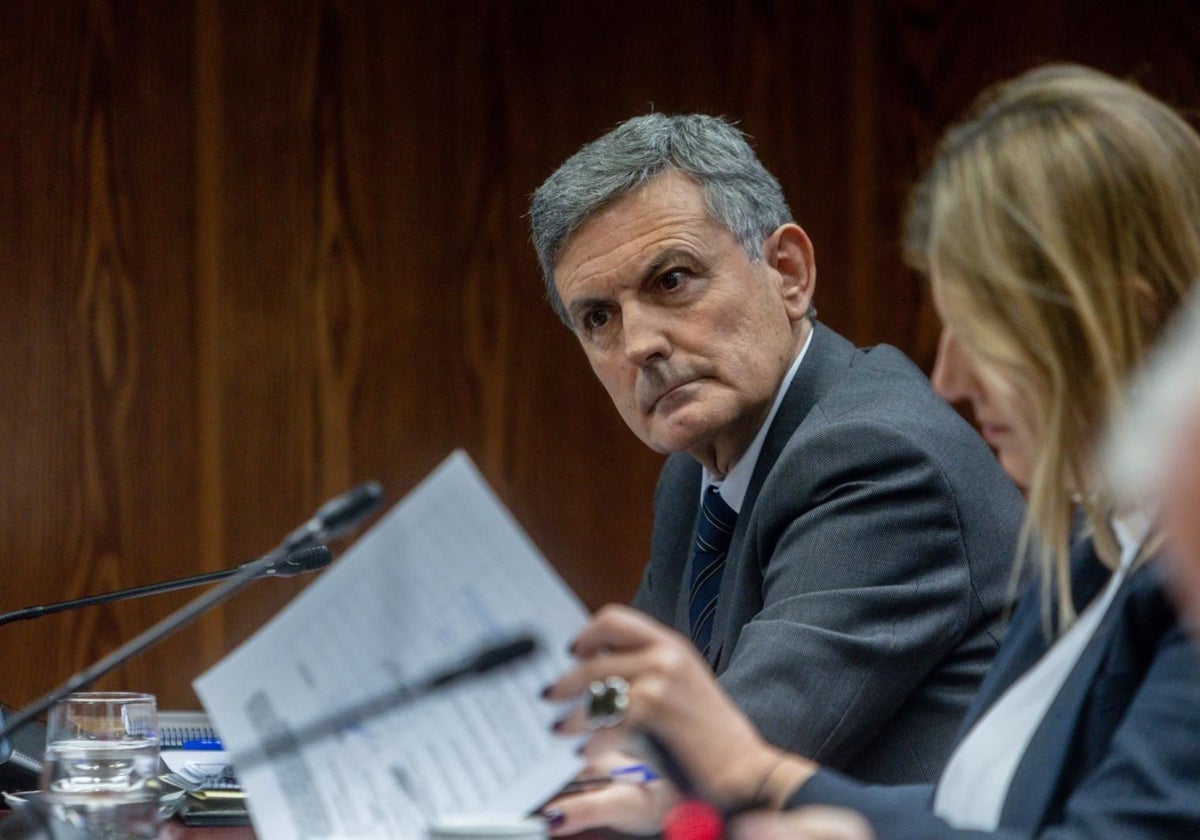 El presidente de Correos, Pedro Saura, en el Congreso de los Diputados