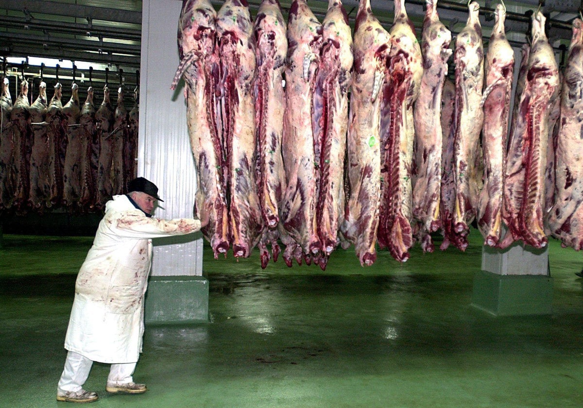 Un empleado del matadero de Zorroza (Bilbao) junto a piezas de vacuno tras su despiece y eliminacion de materiales de riesgo