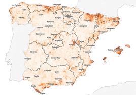 ¿Cuántas viviendas turísticas hay en tu calle? Descúbrelo en este mapa