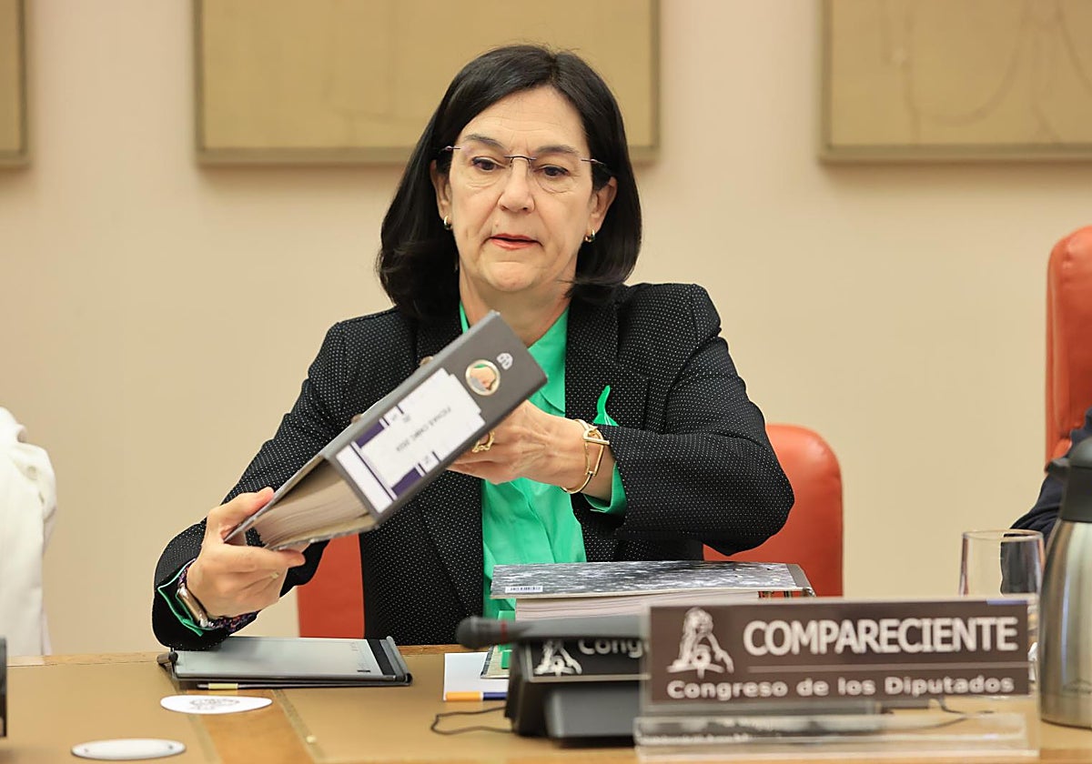 Cani Fernández, presidenta de la CNMC