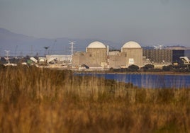 El Congreso debate sobre la energía nuclear con Extremadura en vilo por el futuro de Almaraz