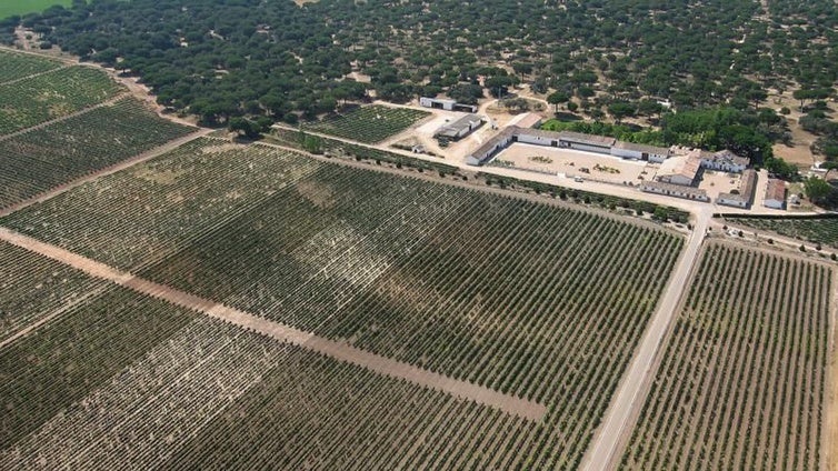 Los grandes fondos de inversión aterrizan en el campo con 5.000 millones en cinco años