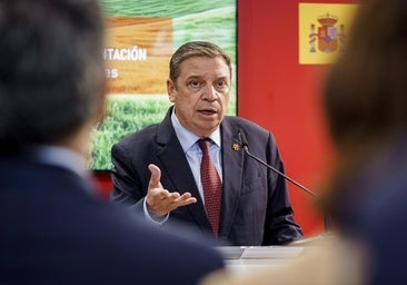 El ministro Luis Planas