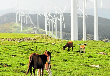 El Supremo abre la puerta a activar 1.500 millones de inversiones eólicas en Galicia