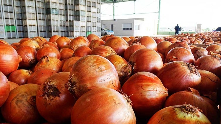Cebollas, limones y peras conferencia, los alimentos básicos que más se encarecen en abril