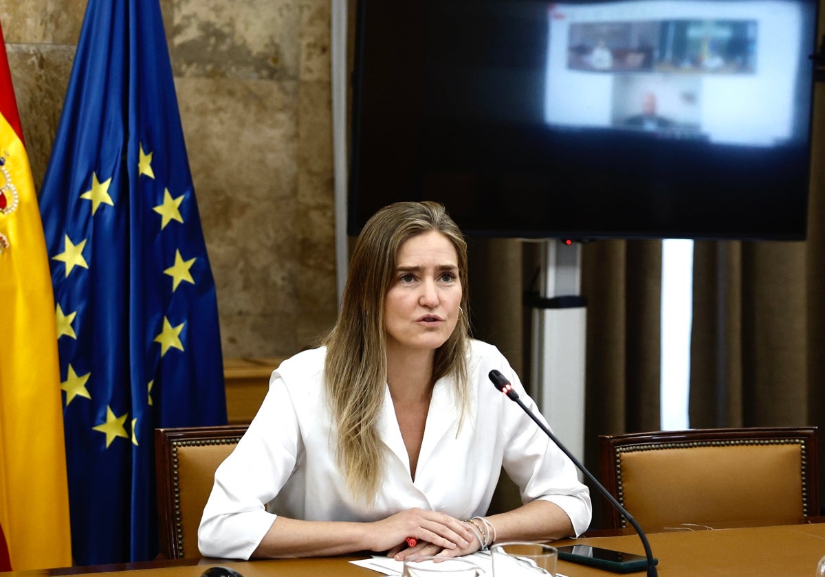La vicepresidenta y ministra para la Transición Ecológica, Sara Aagesen