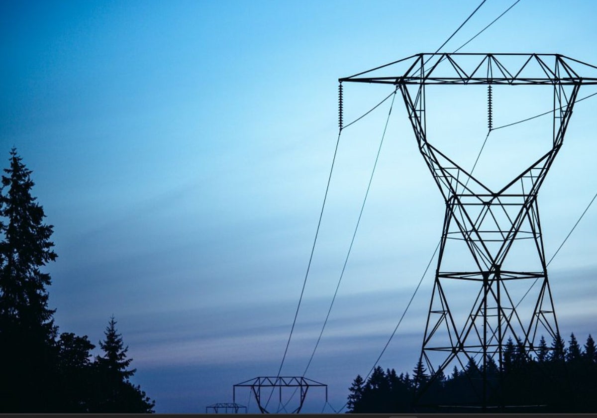 Las eléctricas quieren participar en la investigación