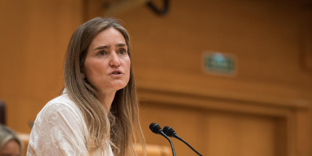 Aagesen ahora apunta a una oscilación en la tensión en europa como una posible causa del apagón