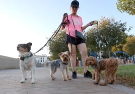 Sanitas lanza un seguro para mascotas que ofrece un reembolso del 80% en asistencia veterinaria