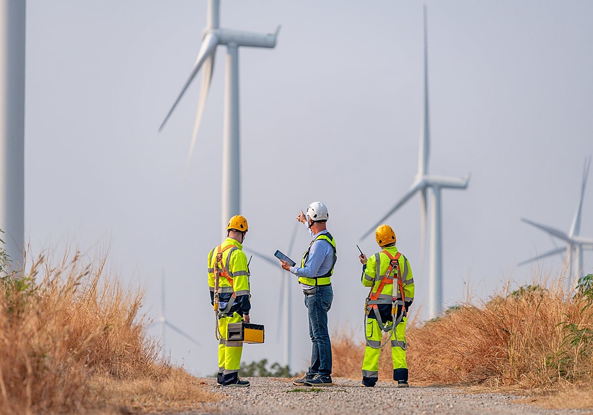 Se necesitan urgentemente perfiles con una base técnica y habilidades digitales y de gestión
