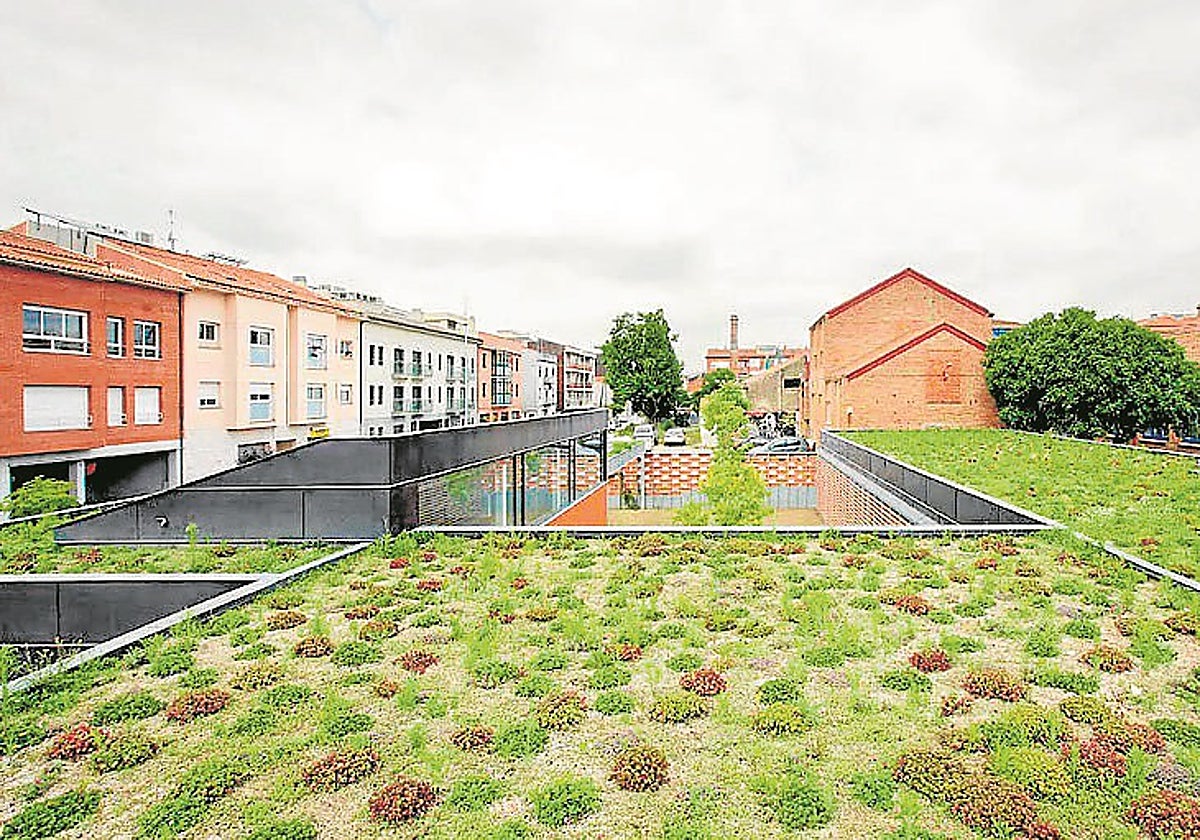 El proyecto Sirius de la UE y los avances en cubiertas vegetales son una muestra en los avances para mitigar el calor en las ciudades