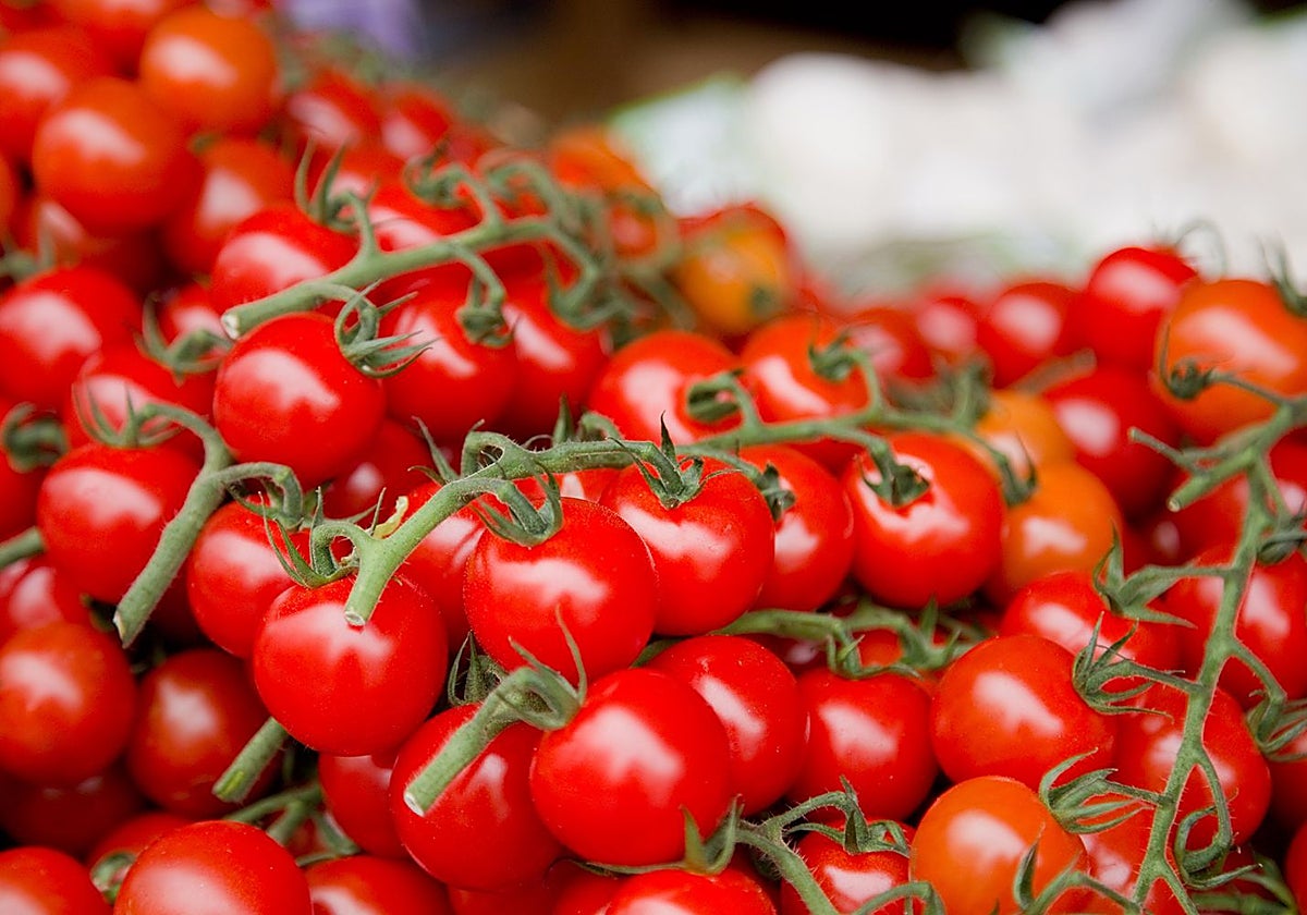 Tomates cherry
