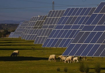 La grieta del desperdicio en el sistema energético se agiganta en el sector renovable