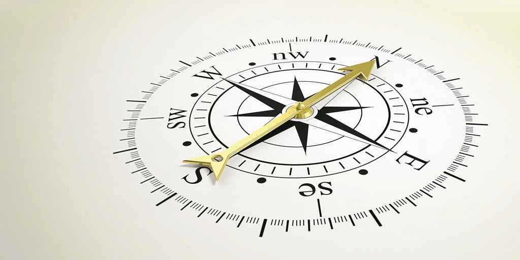 Şirketler yapay zekada kamu yardımı labirentine giden bir pusula buluyor