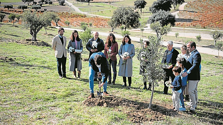 La compañía Recordarium ofrece plantar árboles con las cenizas de un ser querido