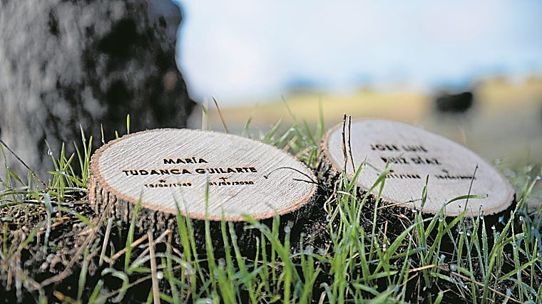 En el bosque de Recordarium, a los pies del árbol elegido o plantado, se pueden ubicar placas sostenibles personalizadas en tres tamaños diferentes