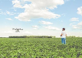 Las semillas digitalizadoras del campo se enfrentan a un árido escenario