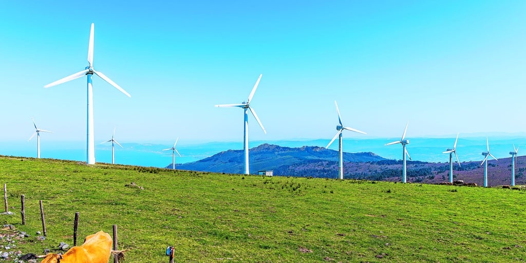 La revolución transversal de la descarbonización se lanza al interruptor de la consolidación