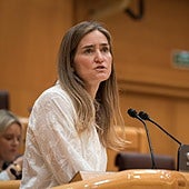 El Gobierno propone subir más de un 10% una parte fija del recibo de la luz