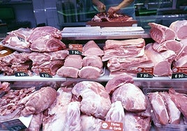 El PP denuncia que los controles frente a enfermedades en los puertos son «insuficientes»