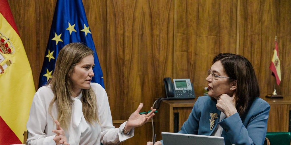 Una CNMC dividida impide mejorar la retribución de las redes eléctricas, lejos de lo que pide el sector