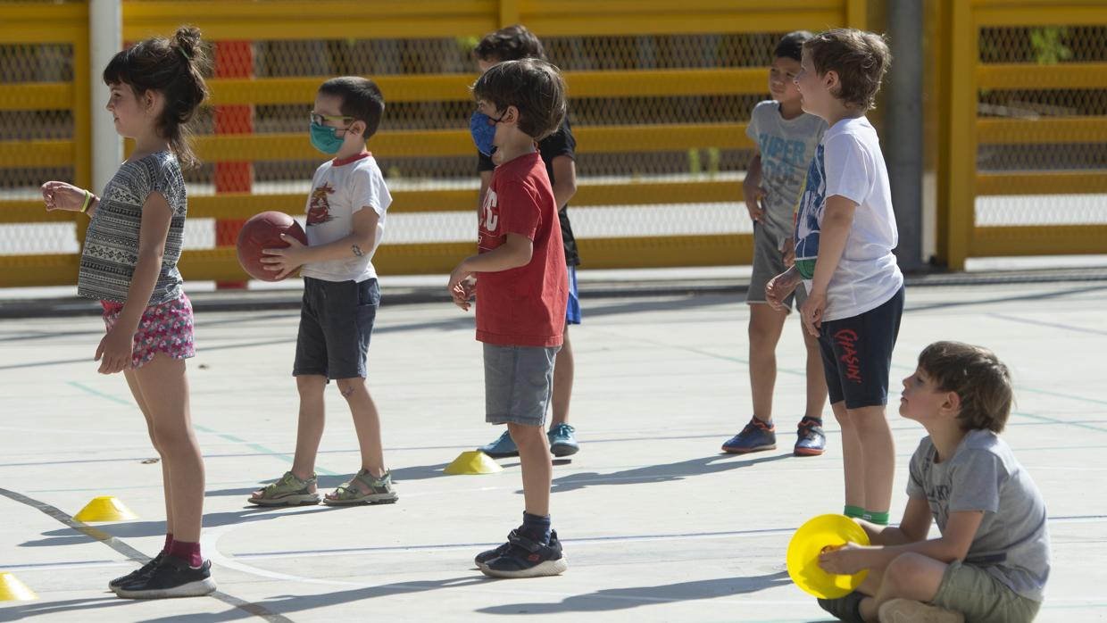 El Consejo de Gobierno aborda la prevención ante contagios de Covid en centros educativos