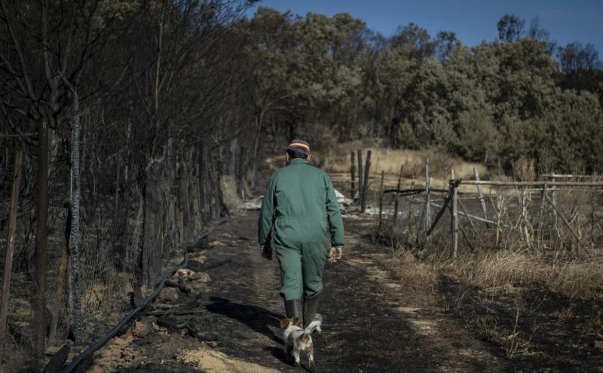 Una persona recorre el paisaje arrasado por el incendio de la Sierra de la Culebra en Zamora