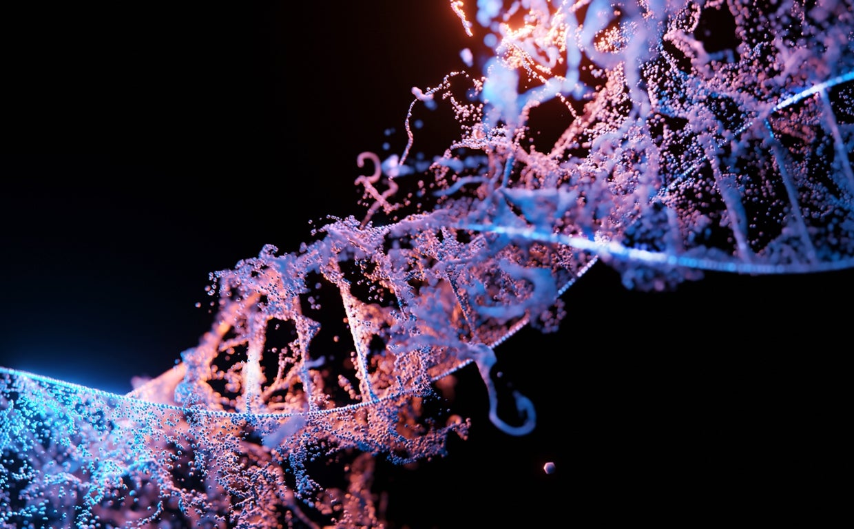 Descubren 42 genes hereditarios que aumentan la probabilidad de sufrir cáncer