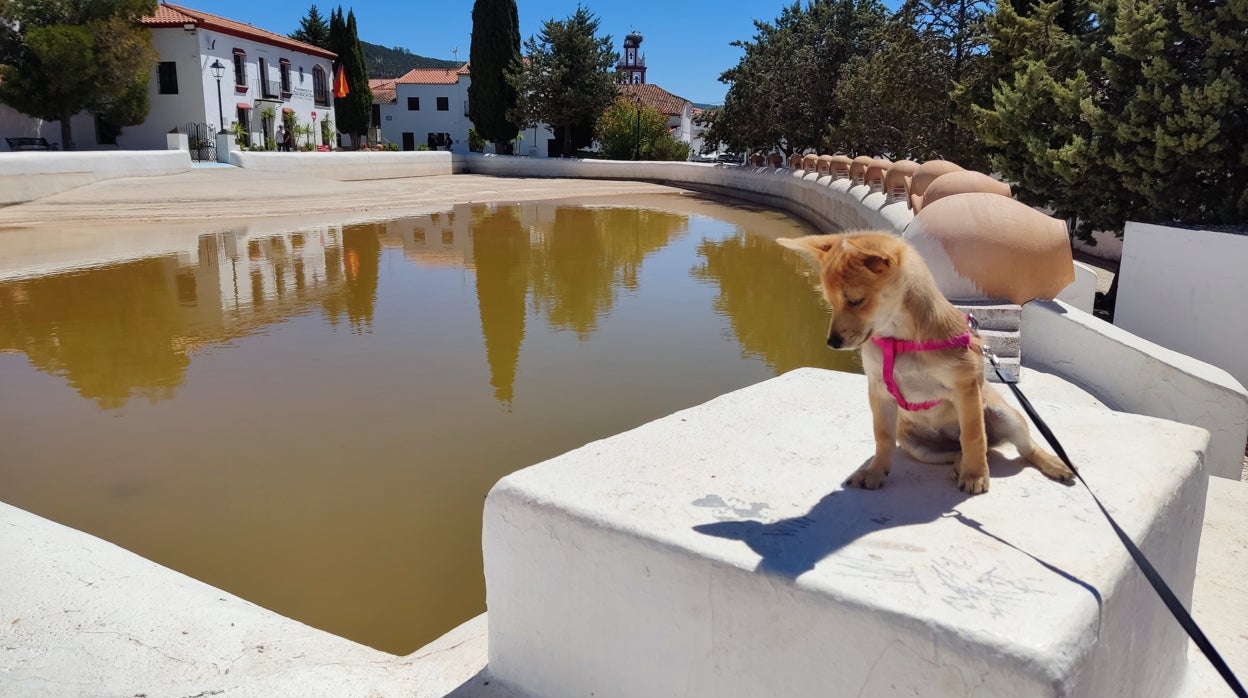 La sequía impide el baño en la Laguna de Cañaveral de León este verano