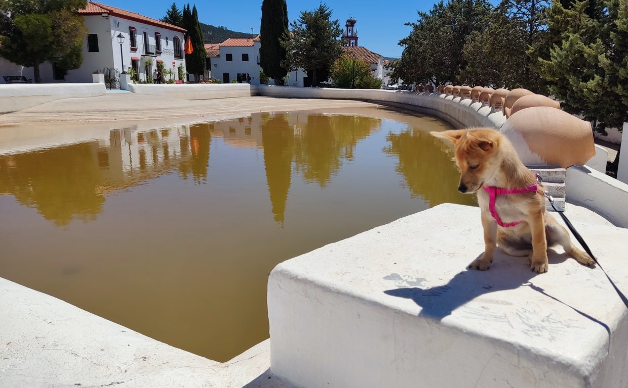 Así se encuentra la Laguna de Cañaveral de León este verano