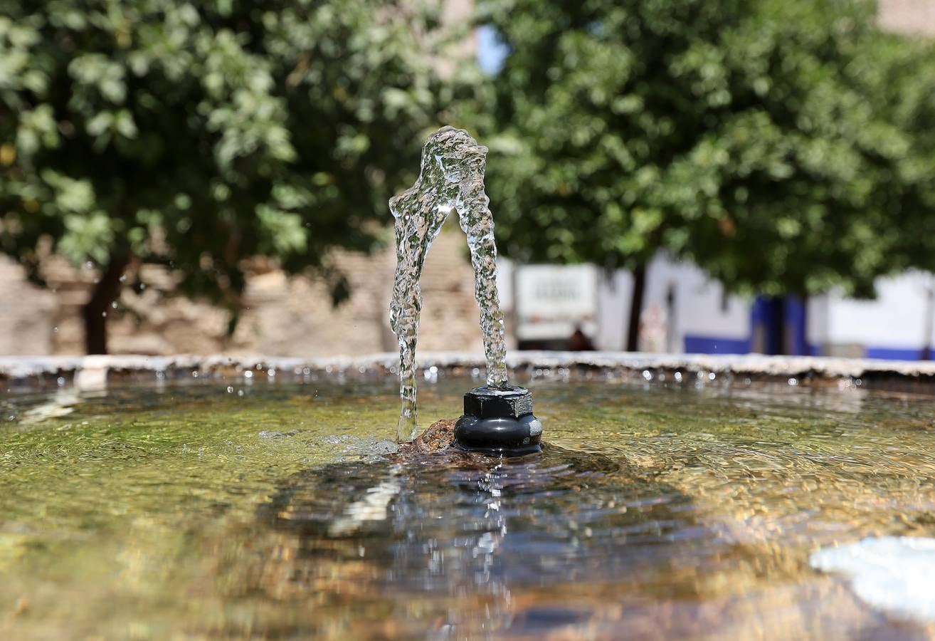 Un paseo por las variadas fuentes de Córdoba