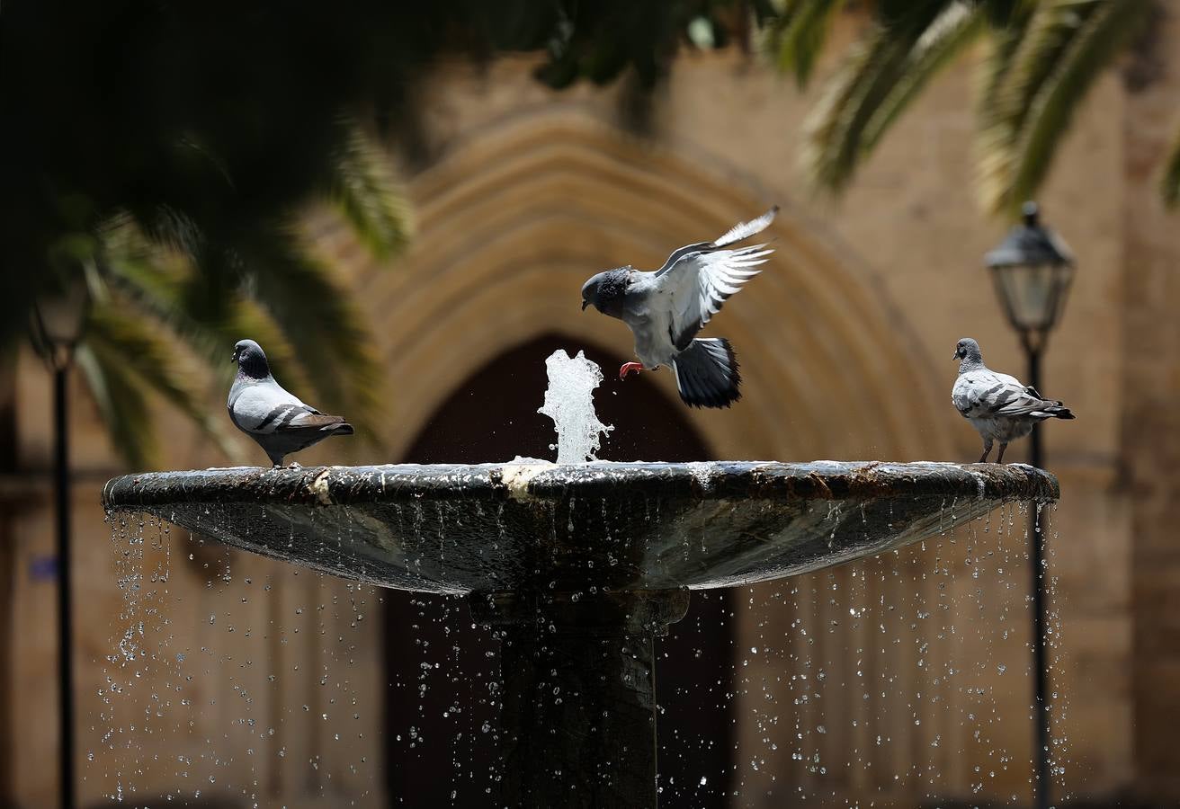 Un paseo por las variadas fuentes de Córdoba