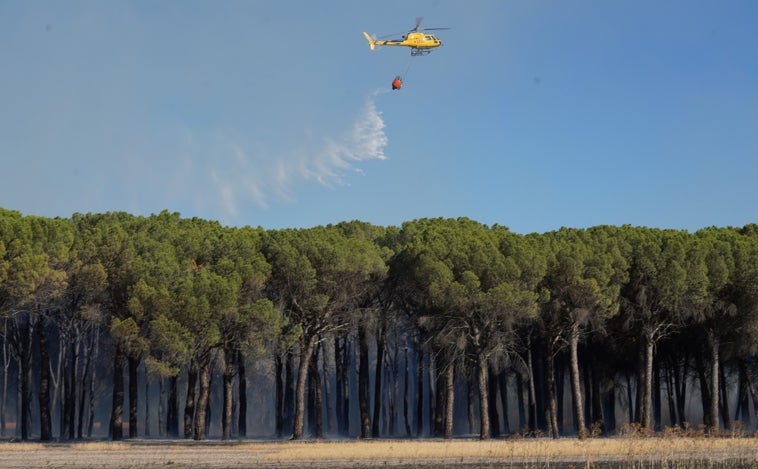 Declarada la alerta de riesgo de incendios forestales del 10 al 15 de julio