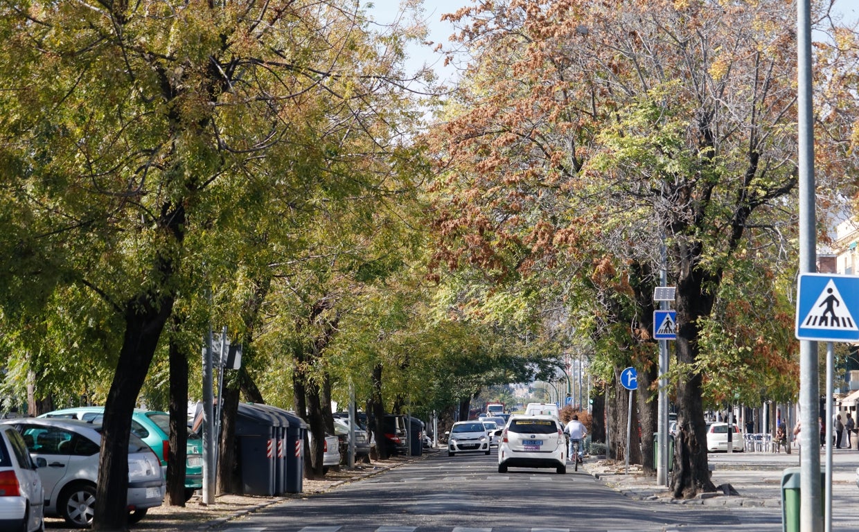 Urbanismo activa la tercera fase de la avenida de Trassierra