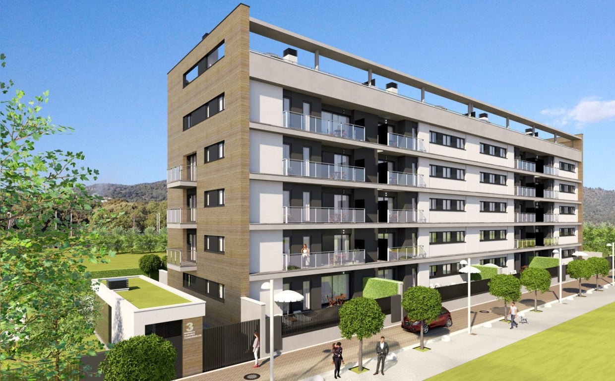 Infografía del proyecto