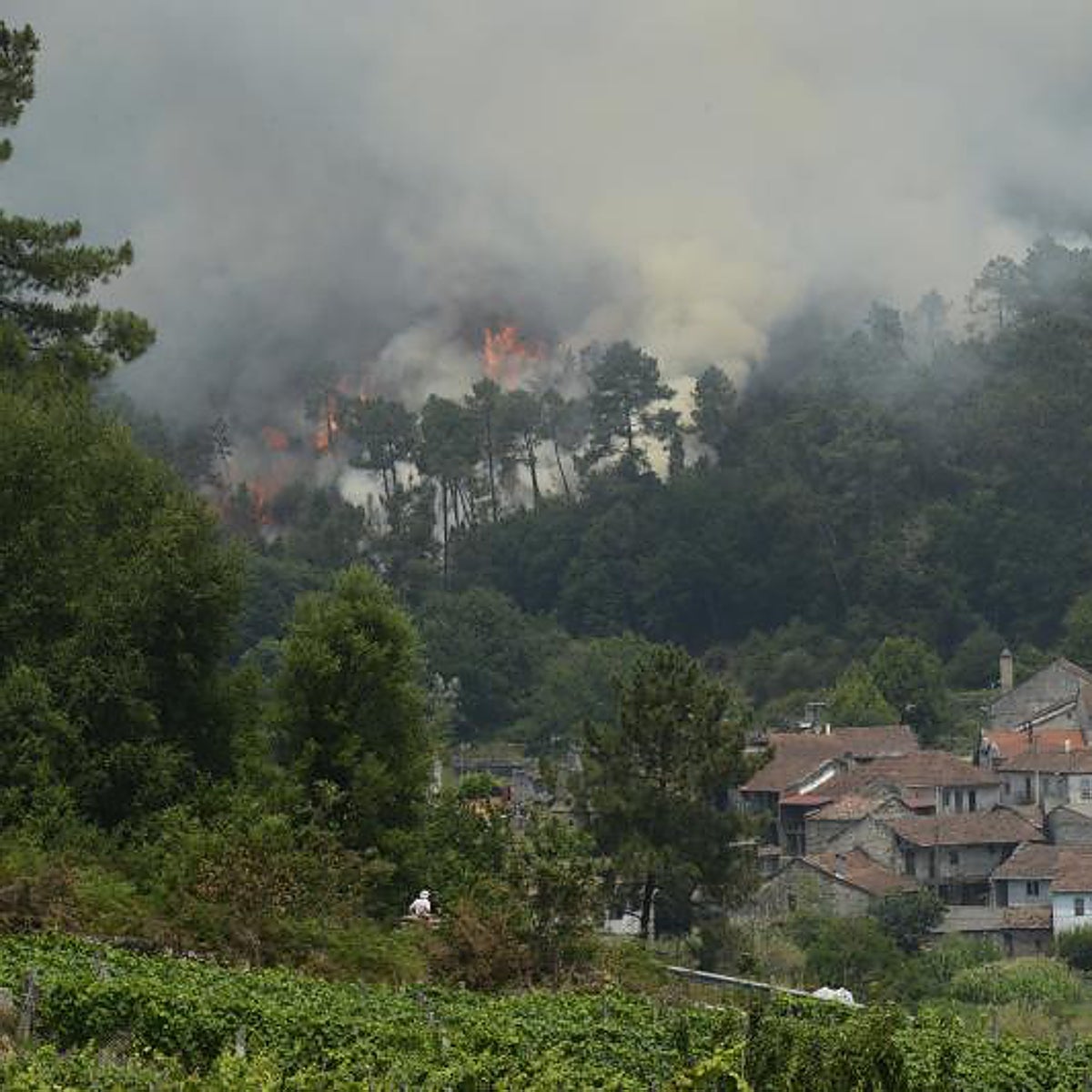 Más de 100 hectáreas calcinadas en varios incendios activos en Galicia