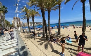 TRAM Alicante-Benidorm: horarios y precios