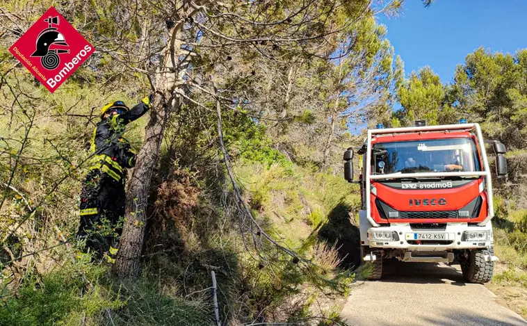 Un incendio forestal en Alicante obliga a cortar la circulación de trenes entre Sant Vicent del Raspeig y Agost