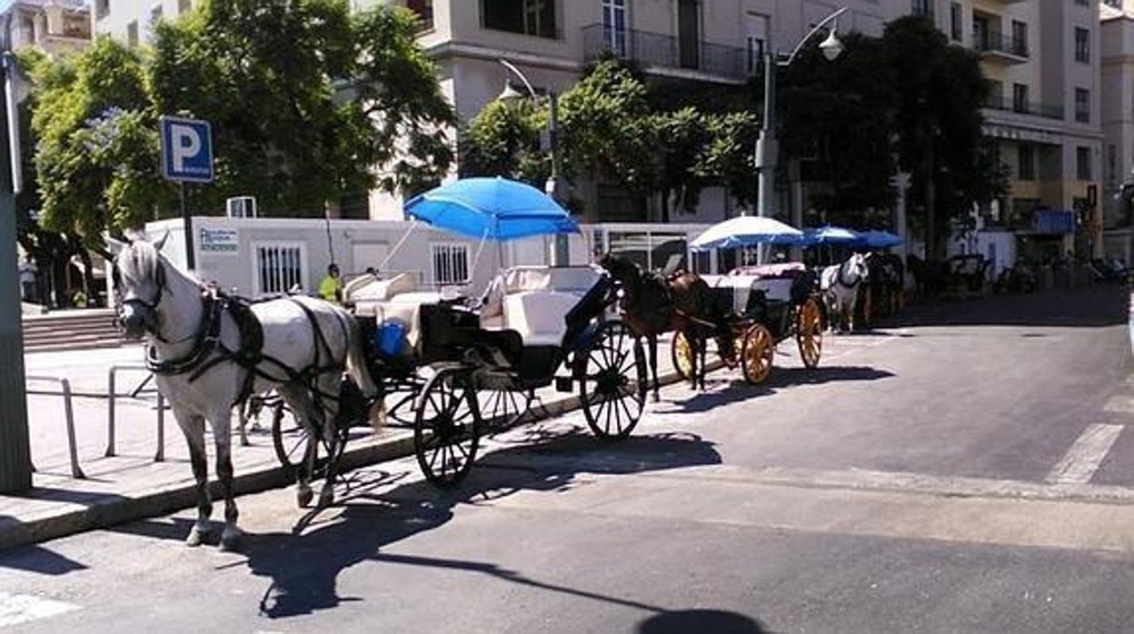 El conductor de un coche de caballos de Málaga le rompe la nariz a un turista descontento con el servicio