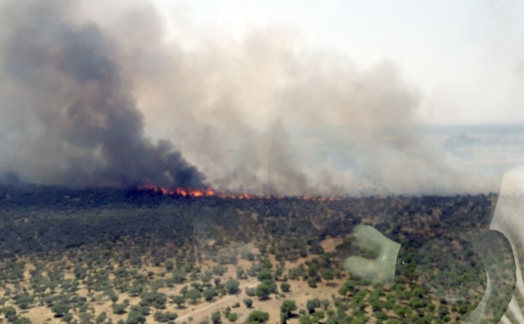 Un incendio obliga a cortar una vía férrea en Castronuño (Valladolid)