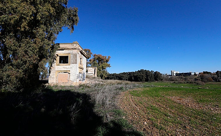 Terrenos de Levante Uno