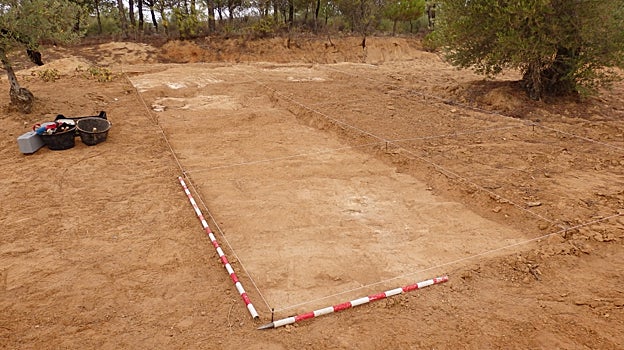 Parcela del yacimiento de El Pino en la que se ha realizado alguna campaña de excavación
