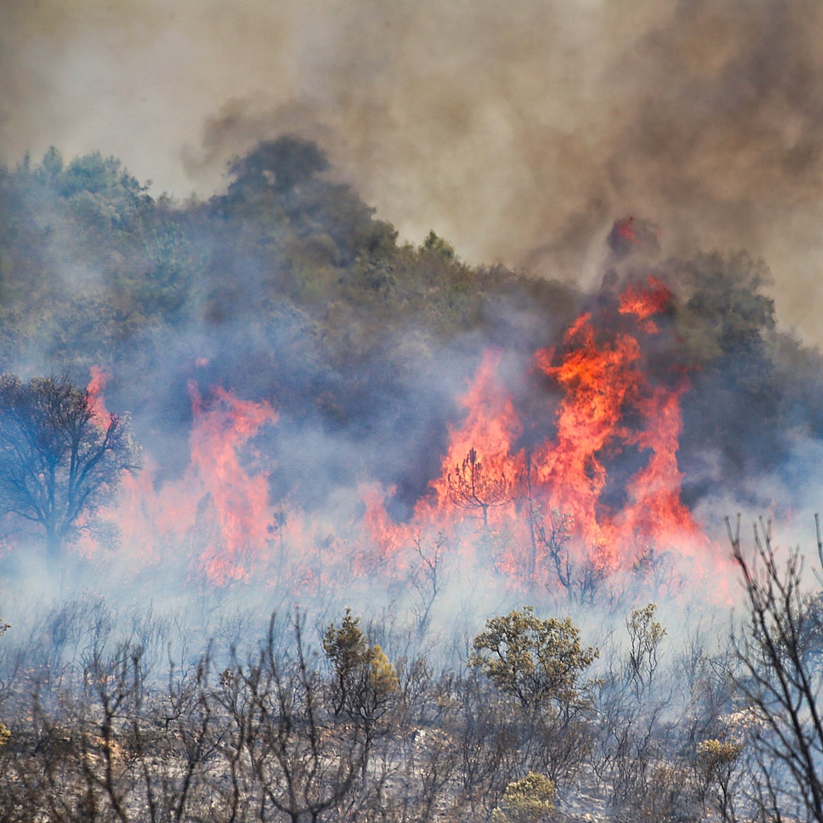 Salva la vida cuando la máquina en la que trabajaba iba a ser engullida por las llamas en Zamora