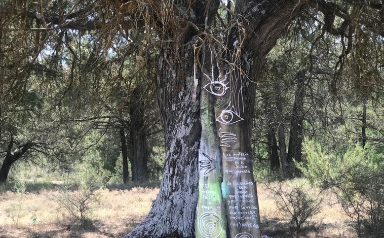 Cañada del Hoyo, en Cuenca, epicentro del arte de vanguardia