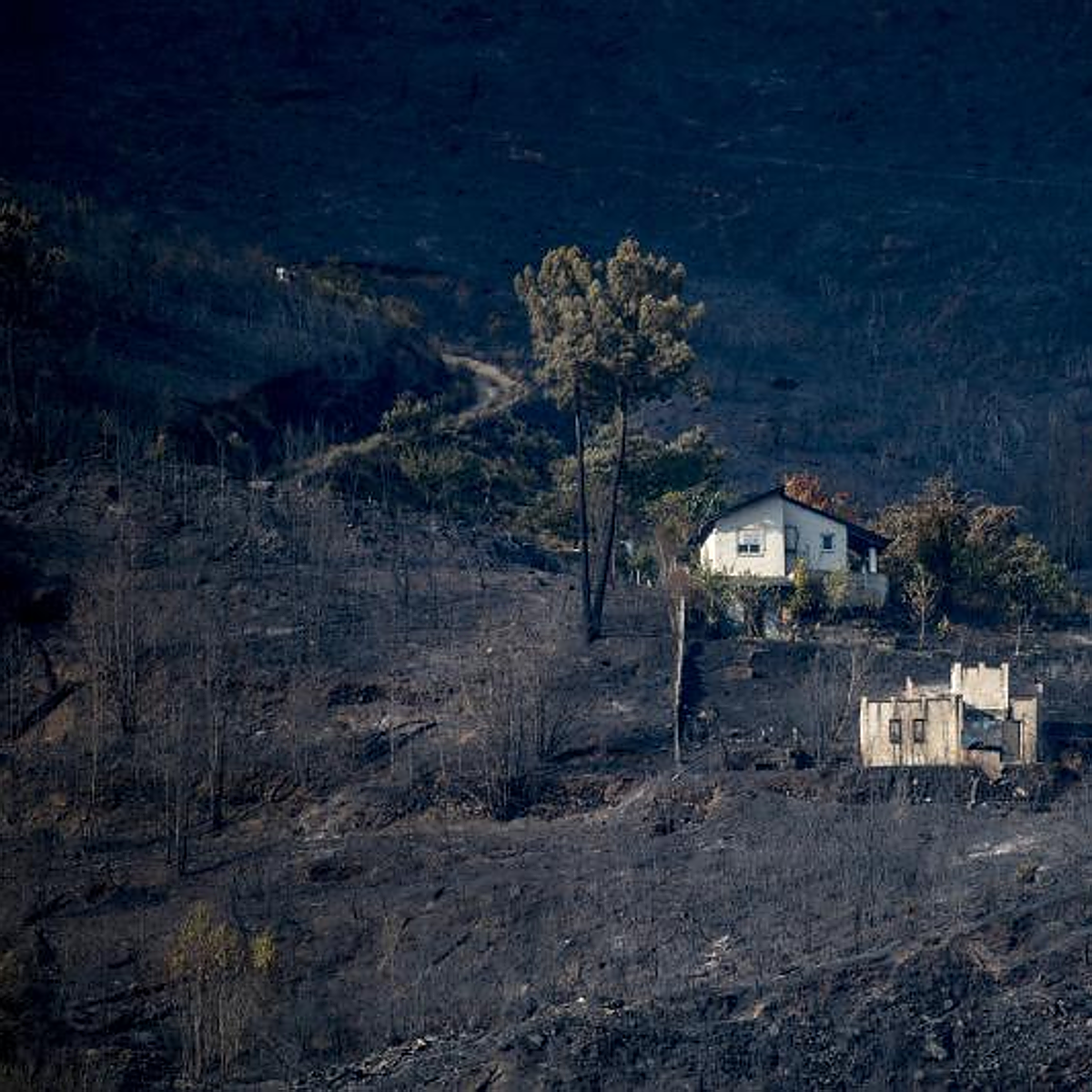 El fuego se cobra en Galicia 24.000 hectáreas con dos grandes incendios sin control